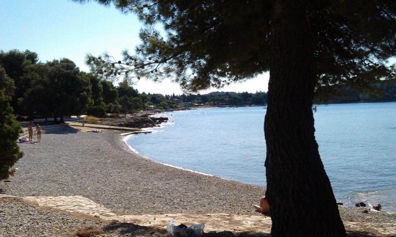 Studio Green Garden Borik Rovinj Eksteriør bilde